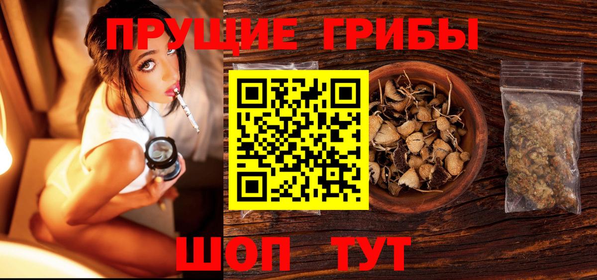 Галлюциногенные грибы Psilocybe  продажа наркотиков  Черногорск  Вход с VPN 