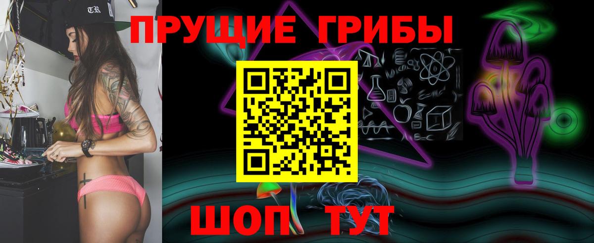 Галлюциногенные грибы мухоморы Черногорск